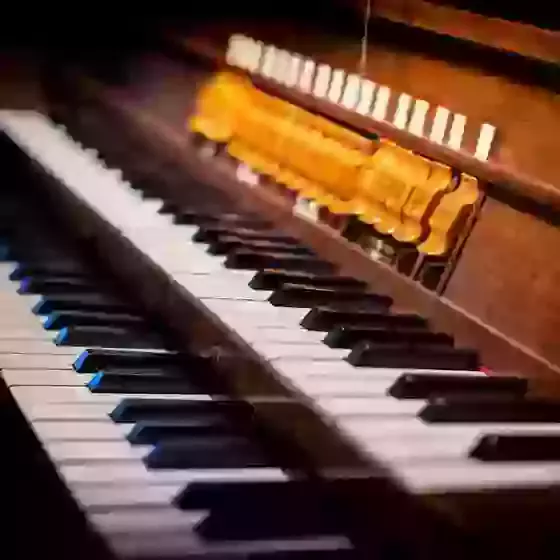 Organ bursary
